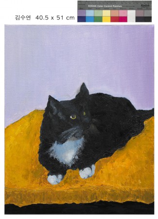 Black cat, Krashy